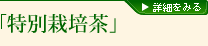 �u���ʍ͔|���v