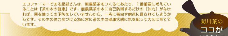 �e�쒃�̃R�R�����΂炵��
