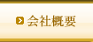 ЊTv